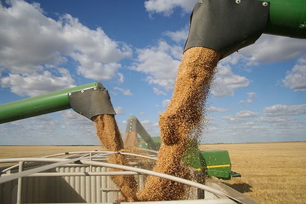 Grain augers and conveyors